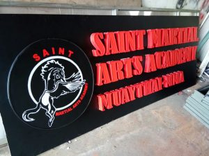 Saint Martial Arts Academy